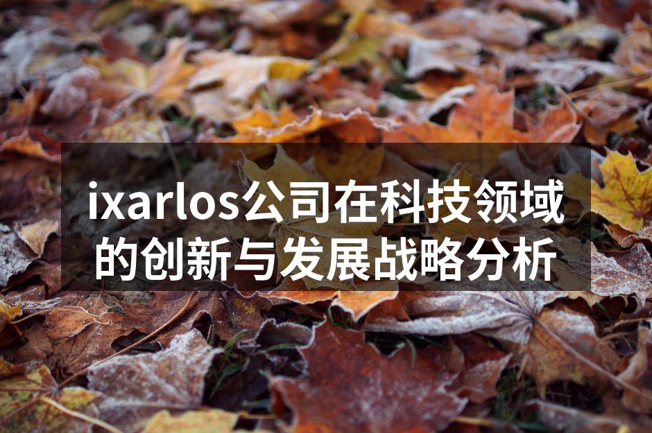 ixarlos公司在科技领域的创新与发展战略分析